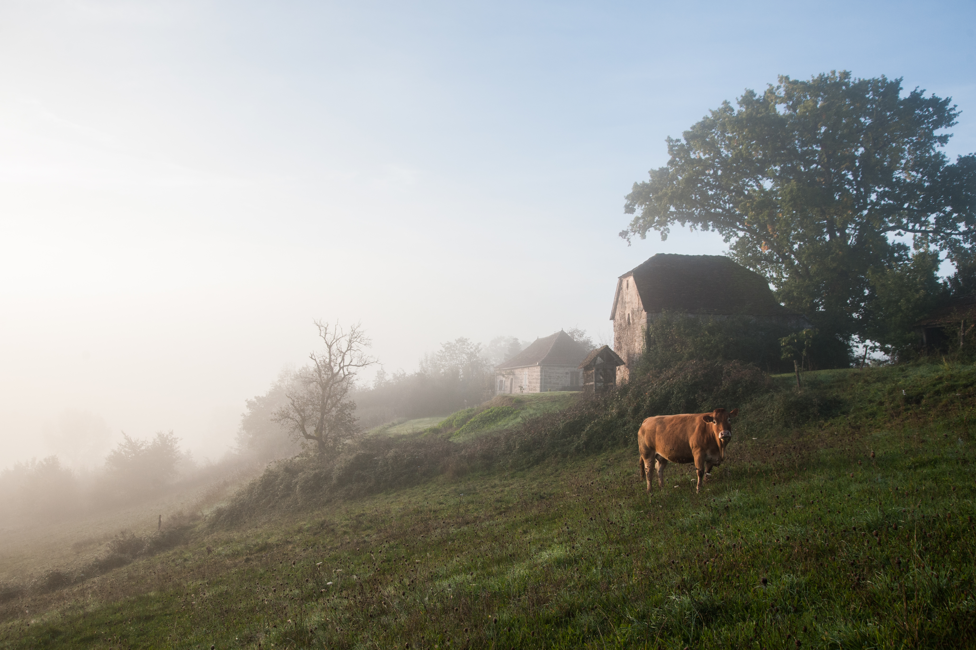 Julie Delevaque photographe – Reportage professionnel Hauts-de-France