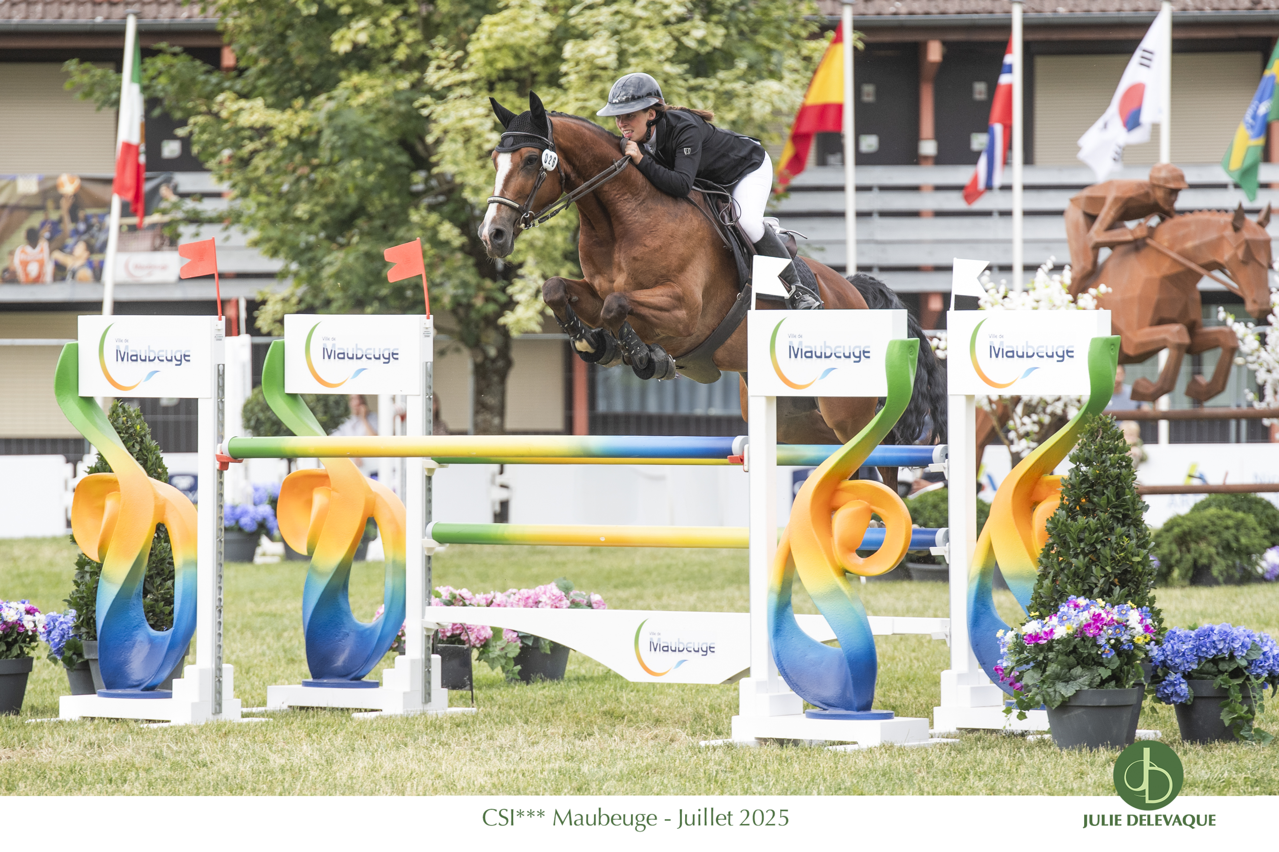 Photos de concours équestre