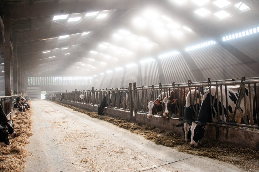 La Ferme du Tout vent